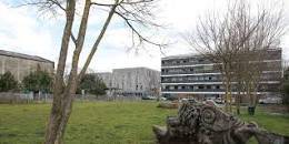 Formation dans les metiers de l'écologie. BORDEAUX DIPLOMEO