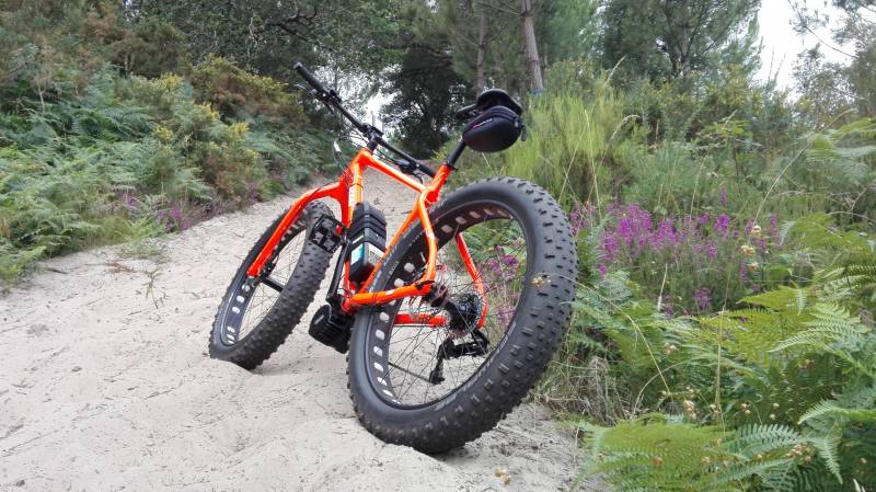 MOTEUR PEDALIER BAFANG BBSHD 1000W