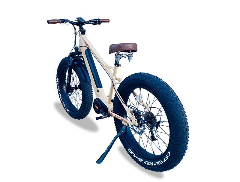 Velo electrique Fat VTT Gorille, à Bordeaux de profil