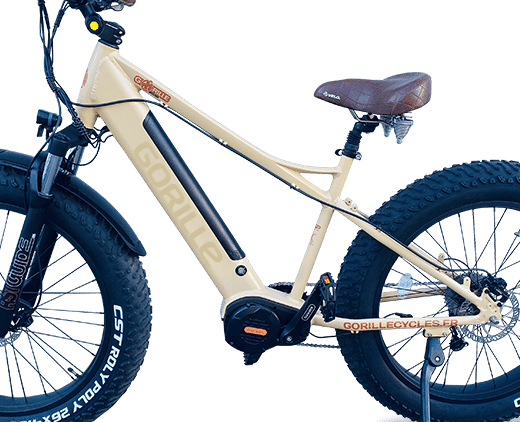 Velo electrique Fat VTT, Athlete de Gorille Bike à Bordeaux