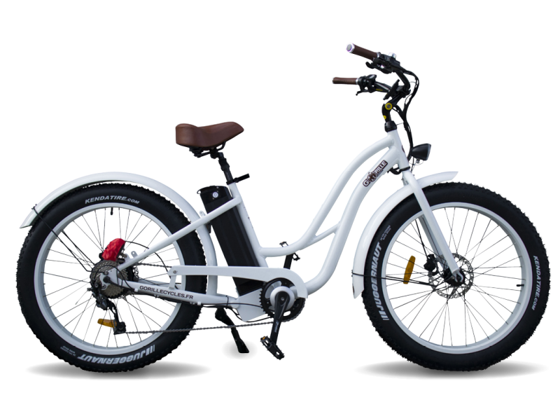 velo electrique Gorille LADY à  Bordeaux