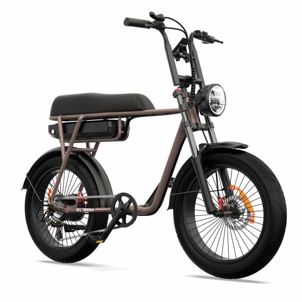 Vélo electrique PINSCHER Fat Bike W1 Selle rallongée
