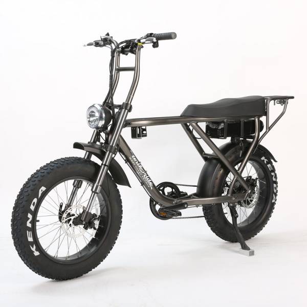 Velo Electrique UNIKE RIDE BIPLACE  FAT STREET et FAT LOW STEP