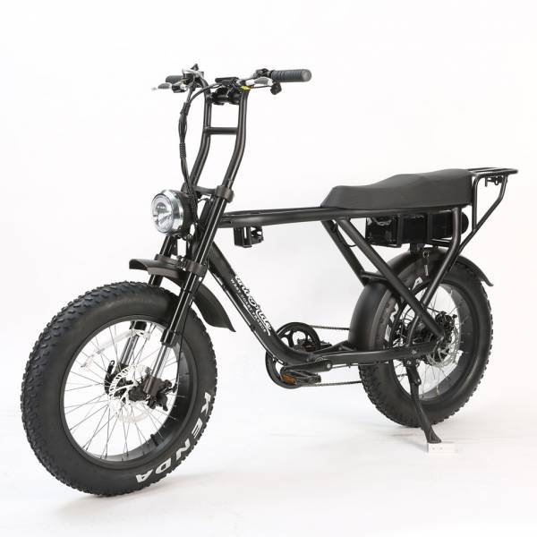 Velo Electrique UNIKE RIDE BIPLACE  FAT STREET et FAT LOW STEP