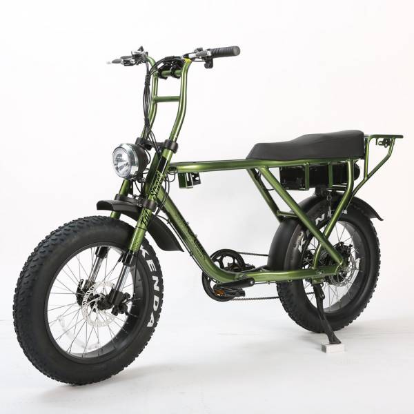 Velo Electrique UNIKE RIDE BIPLACE  FAT STREET et FAT LOW STEP