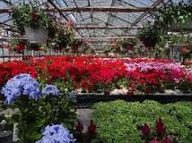 HORTICULTURE et PEPINIERE Gironde Association des  horticulteurs et pepinieristes de la Gironde