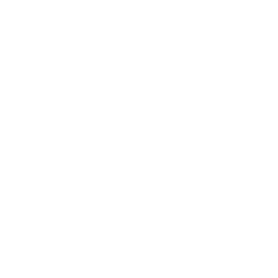 Conseil avec accompagnement SAV